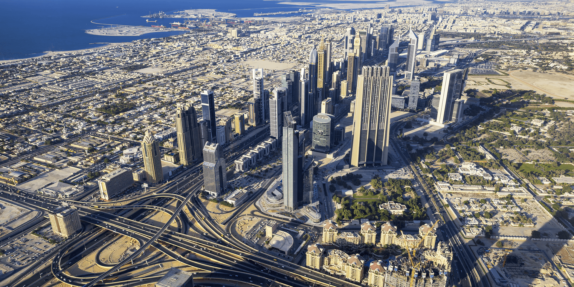 TrapInsights Location